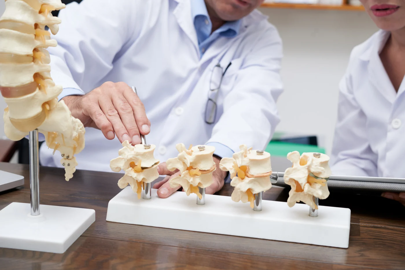 Spine specialist explaining vertebrae on a spine model